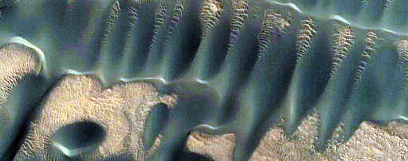 Dunes Far North with Seasonal Spots