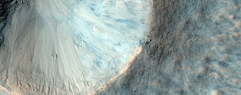 Equatorial Gullies