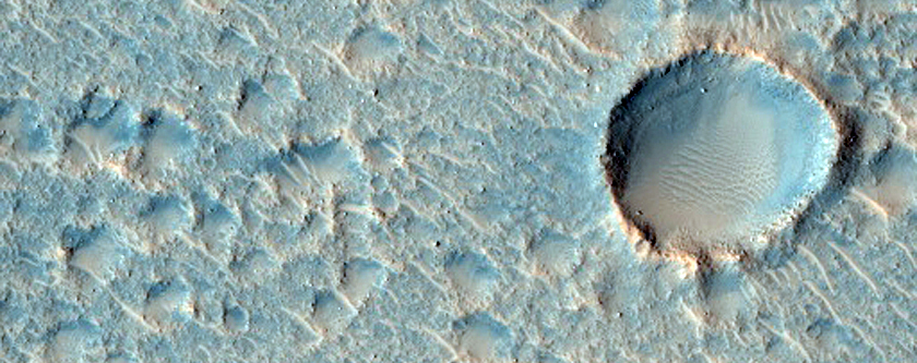 Um grupo de crateras de impacto na região de Acidalia