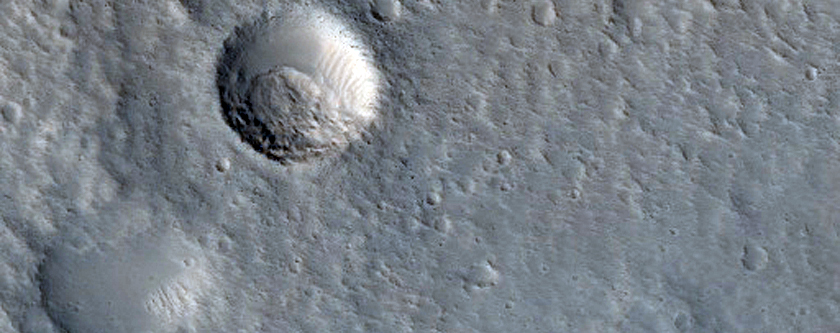 Branched Winding Channel North of Timoshenko Crater