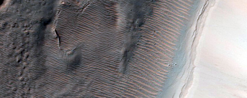 Gully Monitoring