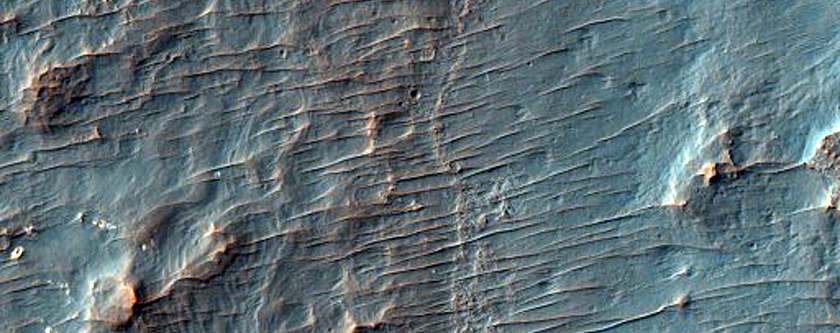Crater with Sinuous Ridges and Light-Toned Patches