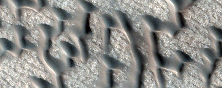 Furrows on Dunes