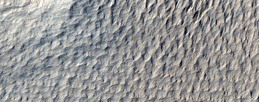 Slope Streak Monitoring in Nicholson Crater