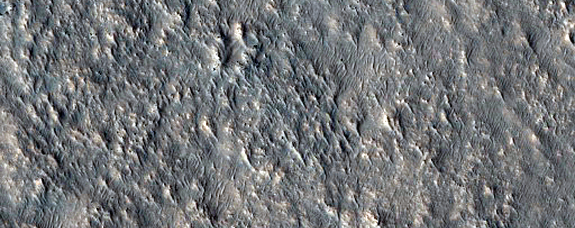 Tempe Terra