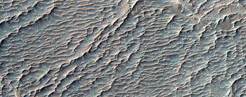 Candidate Landing Site for 2020 Mission
