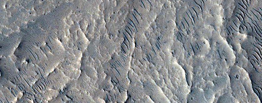 Crater Rim Gullies Filled with Small Dunes