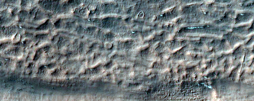 Gullies in Crater in Terra Sirenum