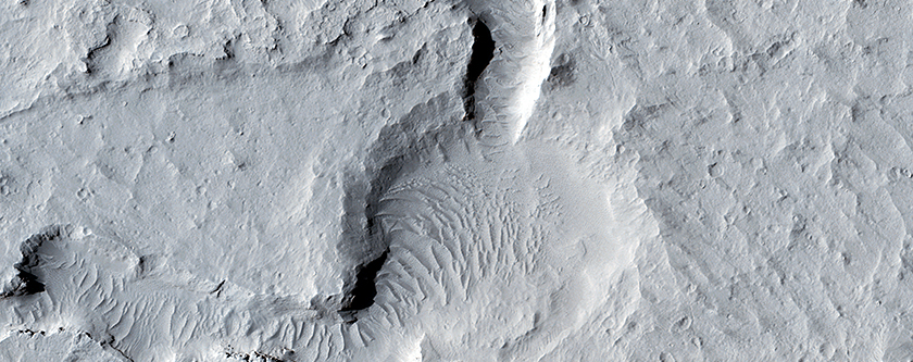 Differenti formazioni del terreno in Elysium Planitia