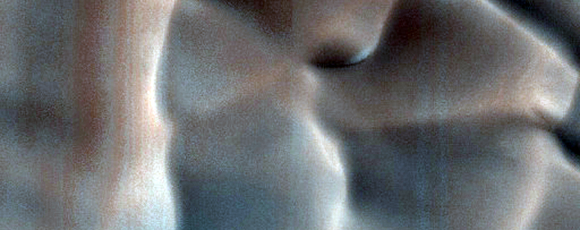 Dunes Dubbed Zanover