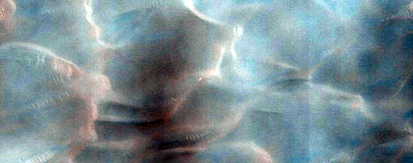 Dunes Dubbed Buzzel