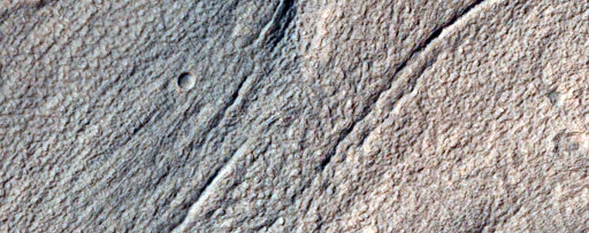 Volatiles and Gullies