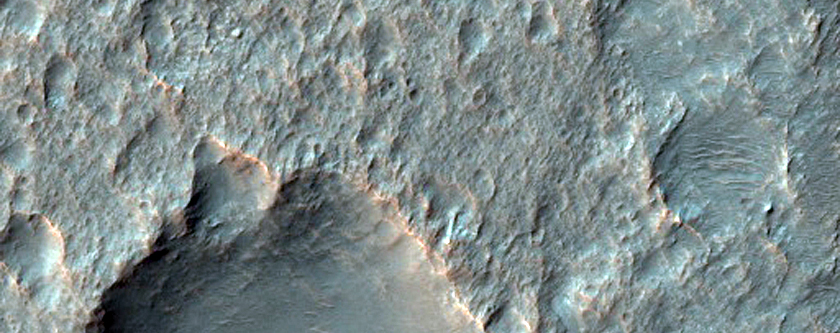 Candidate Landing Site for 2020 Mission in Hadriacus Palus