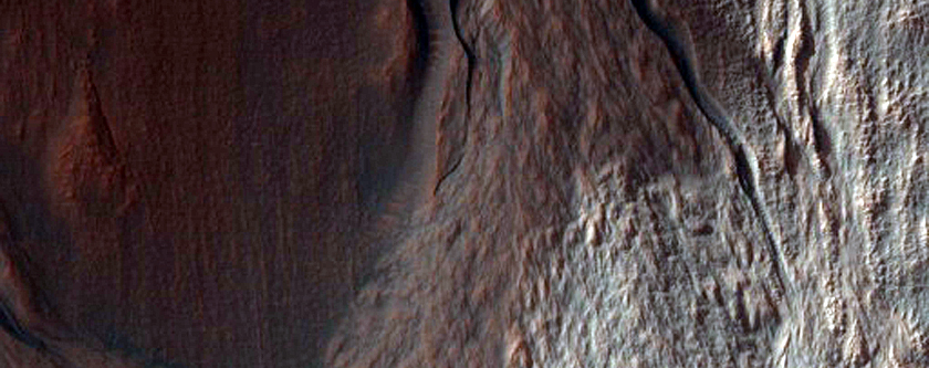 Volatiles and Gullies
