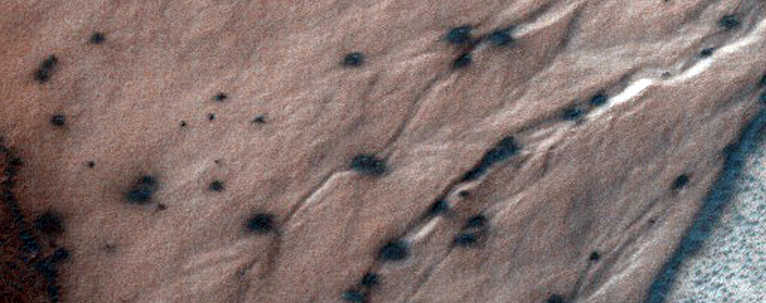 Gully Monitoring