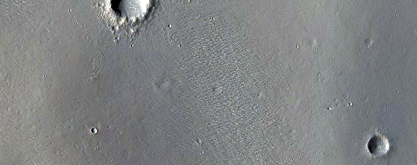 Candidate Future Landing Site