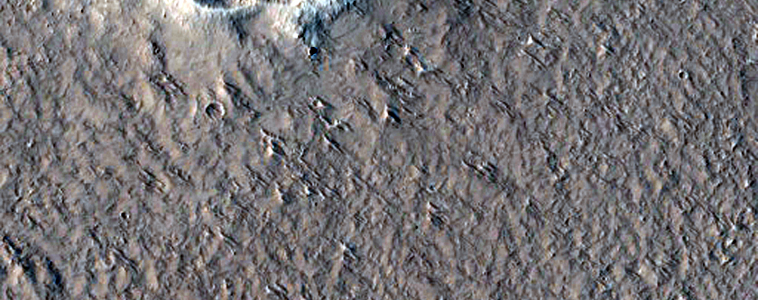 Small Fresh Crater in Amazonis Planitia