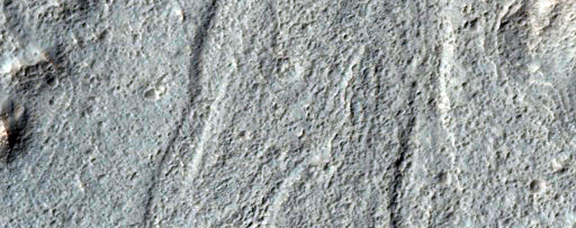 Channel Landforms in CTX Image