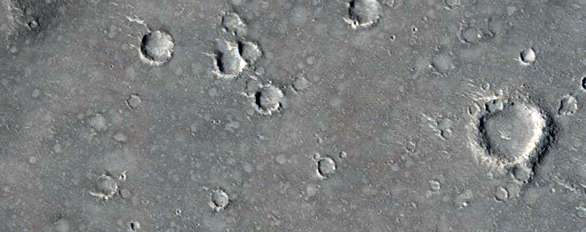 Floor of Gusev Crater