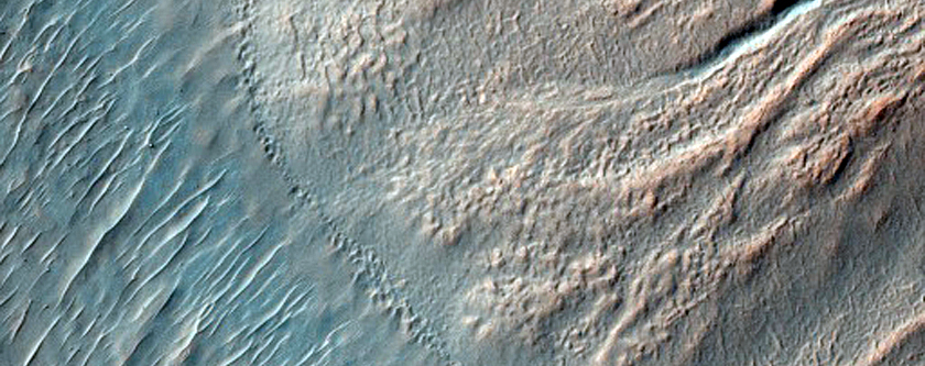 Gully Monitoring