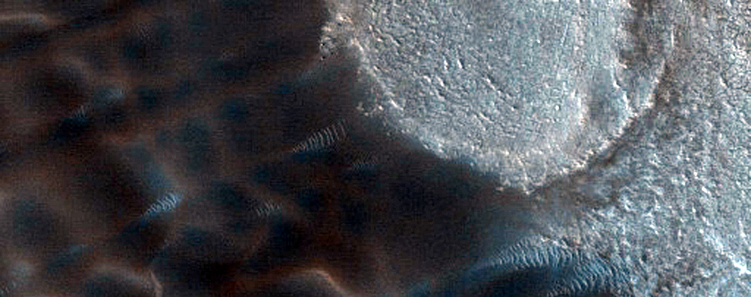 Dunes Dubbed Buzzel
