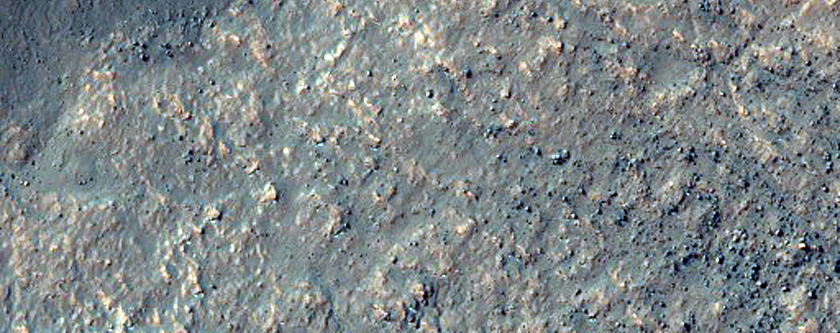 Tongue-Shaped Deposits in Southern Mid-Latitude Crater