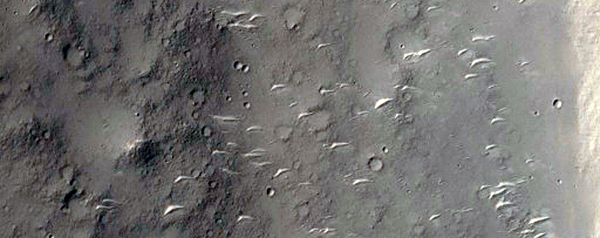 Floor of Ma
