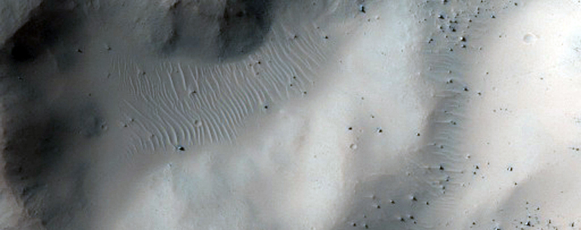 Well-Preserved Impact Crater