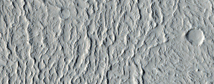 Margin of Lava Flow Intersecting Pit-Chain Graben in Amazonis Planitia