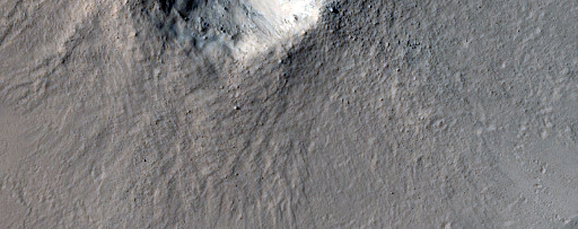 Small Fresh Crater