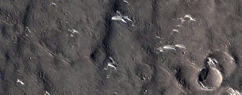 Ridges in Utopia Planitia