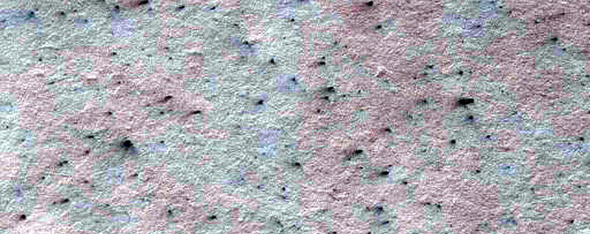Spiders in Polar Layer Deposits Monitoring