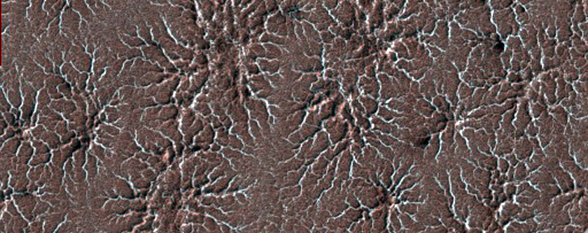 Araneiform Terrain