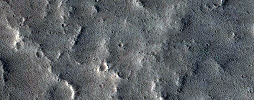 Ridges in the Uranius Mons Region
