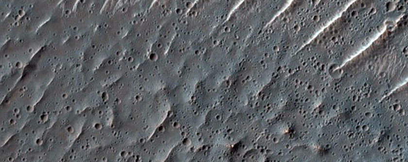 Pal Crater Floor