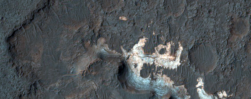 Light-Toned Phyllosilicates along the Floor of Ladon Valles Basin