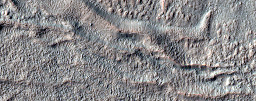 Gully Monitoring