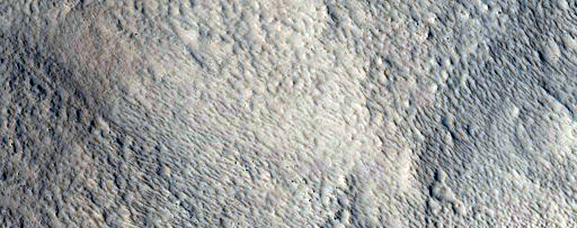 Layered Features in Protonilus Mensae