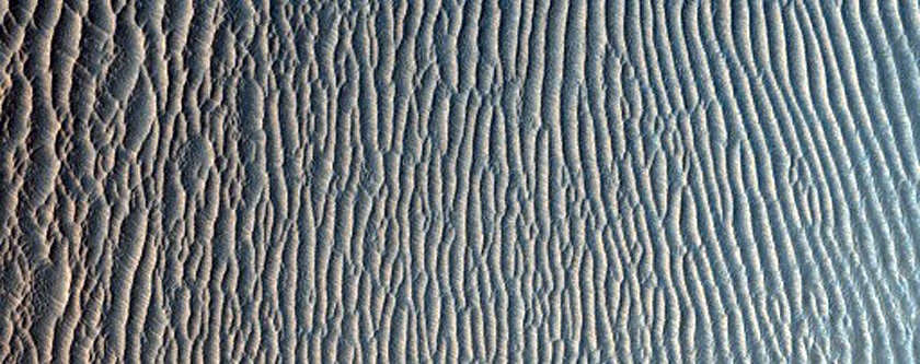 Layered Sediments Exposed in Crater Wall