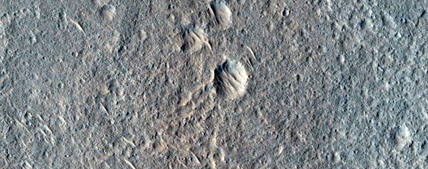 Candidate Landing Site for 2020 Mission Near Hypanis Valles