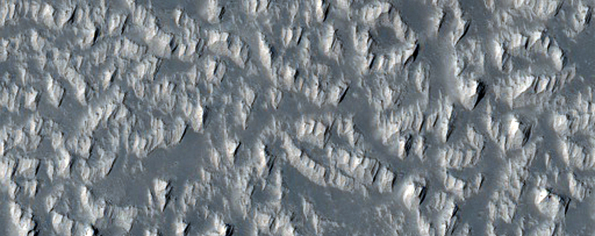 Daedalia Planum Lava Flows