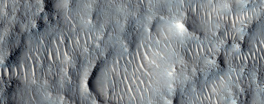 Topographic Low with Thermally-Distinct Terrain in THEMIS IR Images