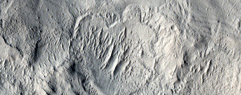 Flows and Valleys in Northern Lycus Sulci Terrain
