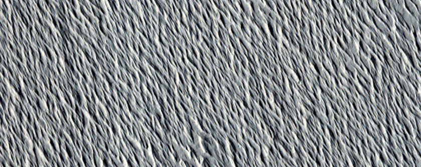 Terrace at the Mouth of Minio Vallis