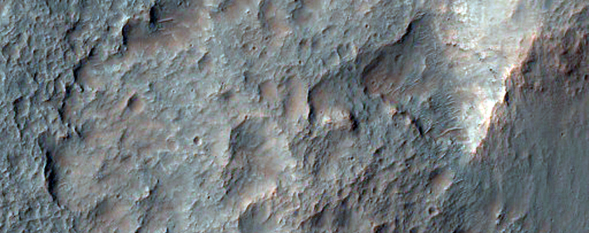 Putative Chlorides in Carved Depression