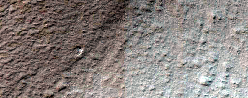 Araneiform-Rich Layers on Rim of Reynolds Crater