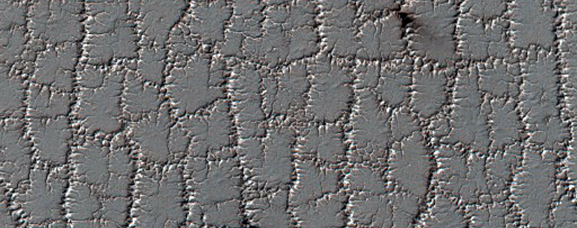 Bright and Dark Fans on Patterned Ground