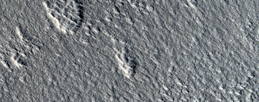 Arcadia Planitia Terrain Sample