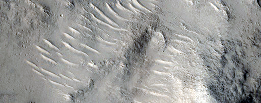 Possible Olivine and Phyllosilicate Deposits Near Nili Fossae