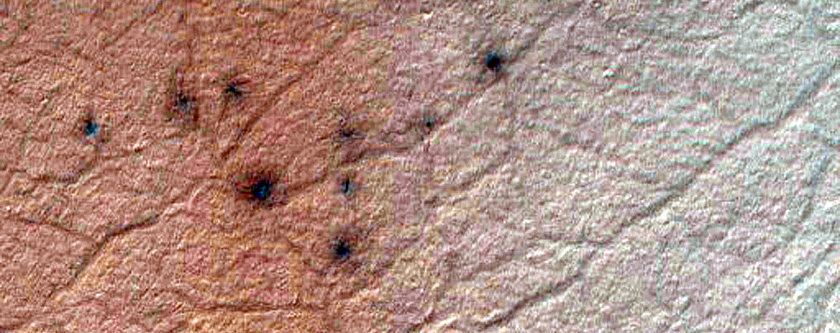 Dark Spots on Dune within Crater